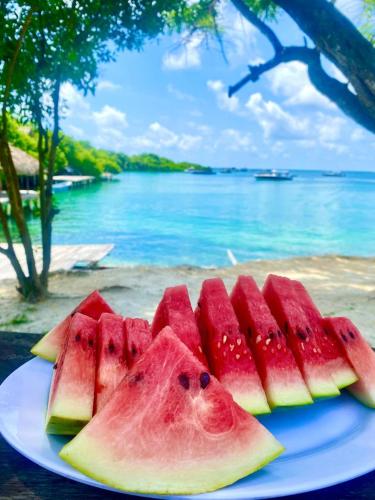 Naturlandskabet i nærheden af vandrehjemmet