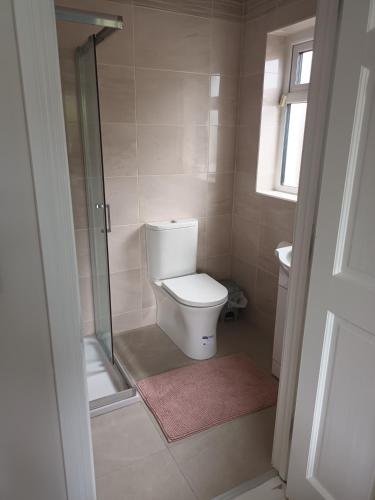 a bathroom with a toilet and a glass shower at Bungalow in Baltinglass in Baltinglass