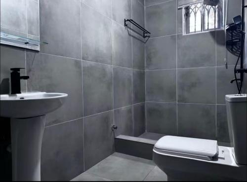 a bathroom with a toilet and a sink at Beautiful 2-bed apartment East Legon in Ajiringano
