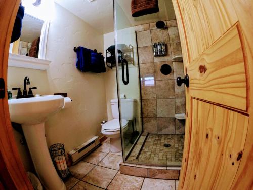 a bathroom with a shower and a toilet and a sink at Reunion Lodge in Grand Lake