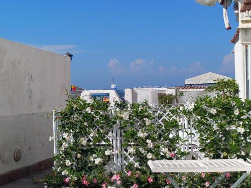 イスキアにあるCasa Luciaのギャラリーの写真