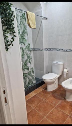 a bathroom with a toilet and a shower curtain at Casa do Beco do Chantre I in Évora