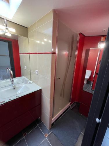 une salle de bain avec douche et lavabo dans l'établissement La maison de Vouziers, à Vouziers