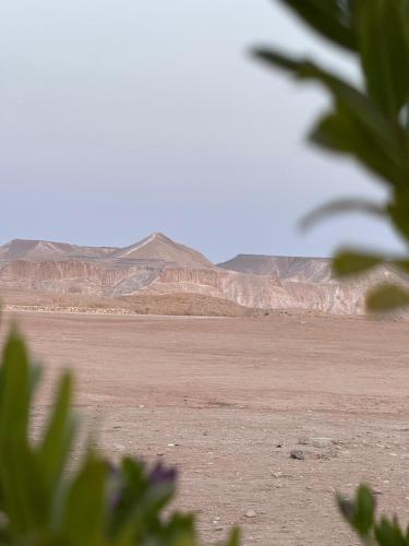 a view of a desert with mountains in the background at Nof Beresheet in Midreshet Ben Gurion
