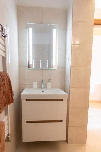 a bathroom with a white sink and a mirror at Mlýn Kamenice in Klučenice