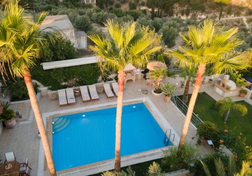 Πισίνα στο ή κοντά στο Stamnelia Villa