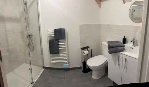 une salle de bain avec toilettes, lavabo et douche dans l'établissement Nathôme 1, à Aleçon