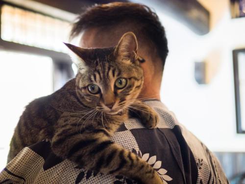 a man holding a cat on his shoulder at Yufuin Lamp no Yado in Yufuin
