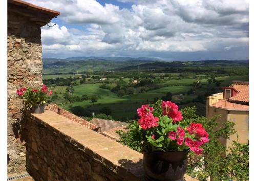 a view of a valley from a wall with flowers at Hochwertige Wohnung Im Turm Schlösschen in Montemerano