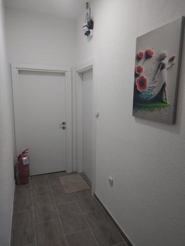 Billede fra billedgalleriet på TVIS studios i Gevgelija