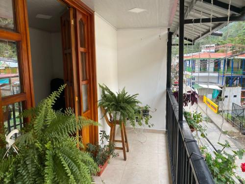 un balcón de un edificio con plantas en El Apartastudio de Dña Gilma en Pijao, en Pijao