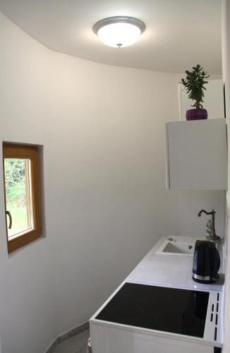 Una cocina o cocineta en Glamping Bionic healing village