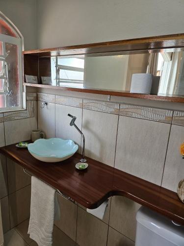 a bathroom with a sink and a lamp on a counter at Pousada Calu in Cunha