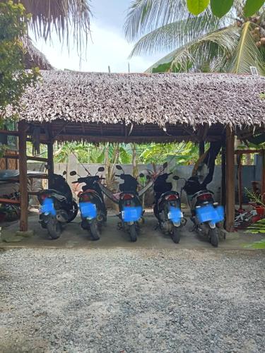a group of scooters parked under a thatch roof at Weeroona Huts Homestay Pacifico in San Isidro