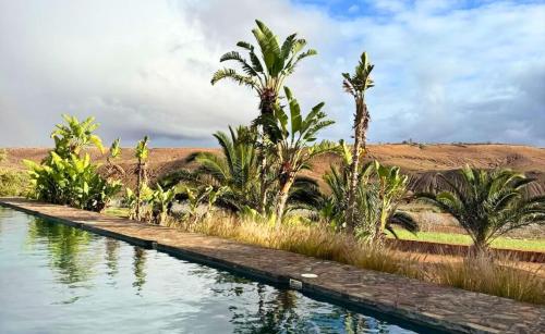 a pool of water with palm trees in the background at Kasbah Oum Rabia in Boulaouane