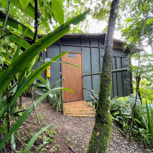 a small shed with a wooden door in a garden at ANCESTRAL GLAMPING in Barbosa