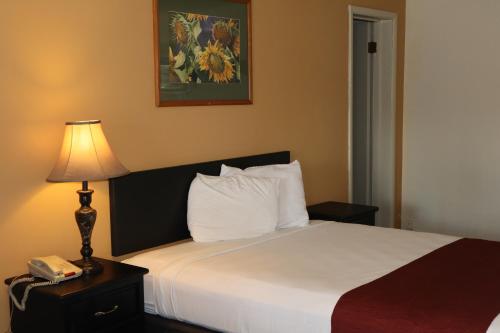 a bedroom with a bed with a lamp and a phone at Black Canyon Motel in Montrose