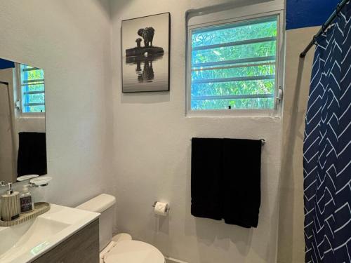 a bathroom with a sink and a toilet and a window at Elegant 1-Br Penthouse in Condado! in San Juan