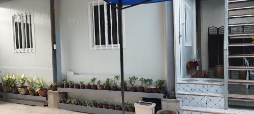 Santa Rosaにある4 to 6 Pax accommodation - Unit 4の鉢植えの群れ