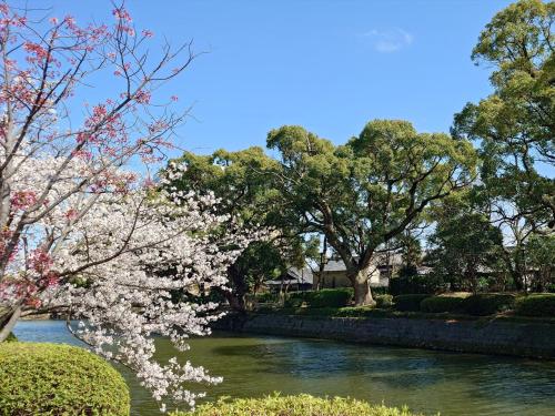 a tree with white flowers on a river at Hotel New Otani Saga in Saga