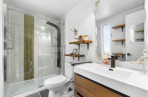Un baño con ducha, inodoro y lavabo. en Chalet Domaine du Lac, en  Notre-Dame de Montauban