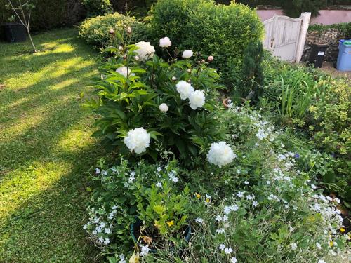 a garden with white flowers in a yard at Ma demeure in Le Gué-de-Longroi