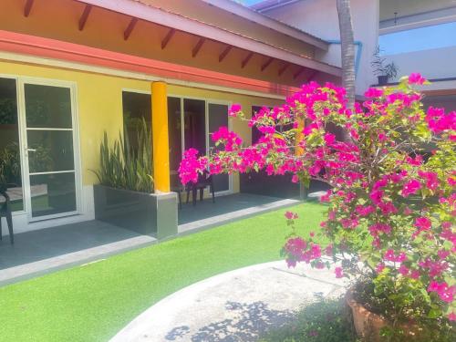 a house with pink flowers in the yard at Thoddoo Island Holiday in Thoddoo