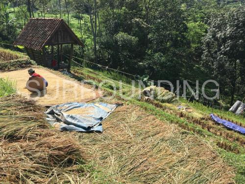 a farm with animals on a dirt road at Rumah Lereng Bandung in Bandung