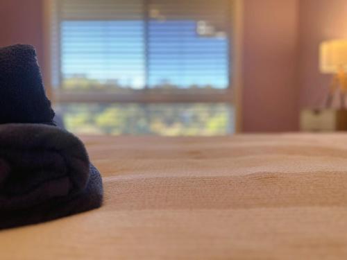 Un par de pies en una cama con ventana. en Sunlit Sanctuary at Kingston, en Kingston