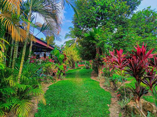 Taman di luar A. Zaragosa Lodging House
