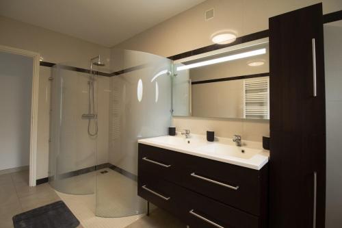 une salle de bain avec un lavabo et une douche dans l'établissement Maison Cosy avec Jardin Paris Disney, à Bry-sur-Marne