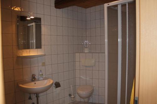 a bathroom with a sink and a toilet at Kutschergasthof Am Sonnenstein in Sonnenstein