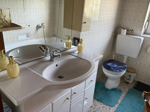 a bathroom with a sink and a toilet at Apartment Anna - Austrian country house in Marchfeld im Weinviertel in Marchegg