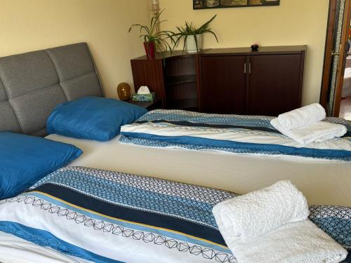 a room with two beds with blue and white sheets at Apartment Anna - Austrian country house in Marchfeld im Weinviertel in Marchegg