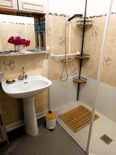 une salle de bain avec un lavabo et une douche dans l'établissement Le Jardin des Muses, à Jard-sur-Mer