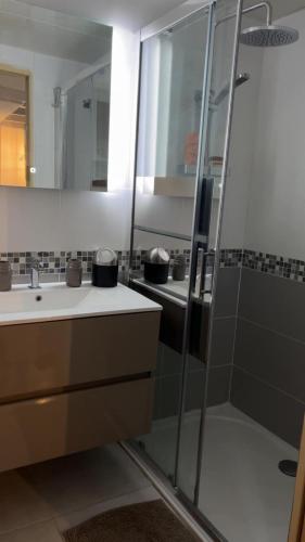 une salle de bain avec douche et lavabo dans l'établissement Petite maison de vacances, au Cap d'Agde