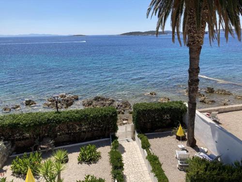 a view of a beach with a palm tree and the ocean at Ruvo Apartman 4 in Orebić