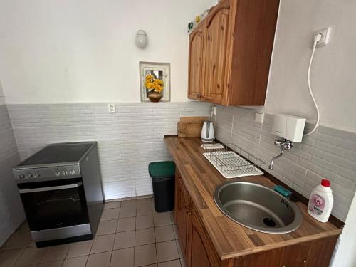 a small kitchen with a sink and a stove at Chalupa Hnízdo Jetřichovice in Jetřichovice