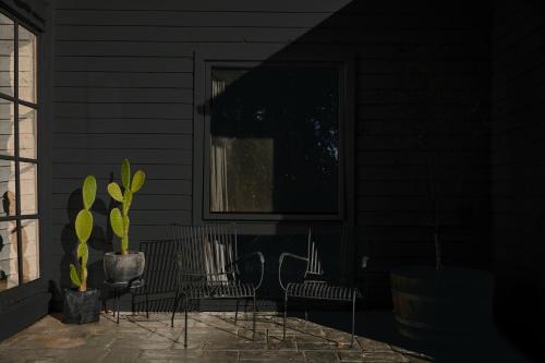 a patio with chairs and a window and a cactus at The Maple Lodge with Alpacas, Goats, Boars, Ducks & Chickens Farm Stay with Outdoor Pizza Oven in Robertson