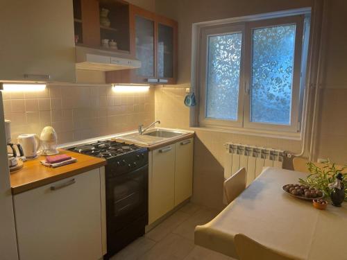 Η κουζίνα ή μικρή κουζίνα στο apartmani marco 1