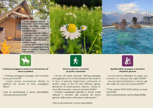 AlbosaggiaにあるLieve Agriglamping Experienceのギャラリーの写真
