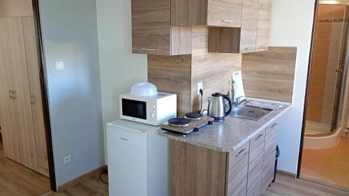 a small kitchen with a sink and a microwave at Penzion Zámek Drahonice in Drahonice