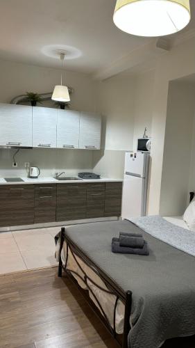 Apartment in Athens centre