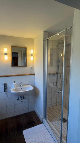 a bathroom with a sink and a shower at Ferienhaus St. Johannis in Werben