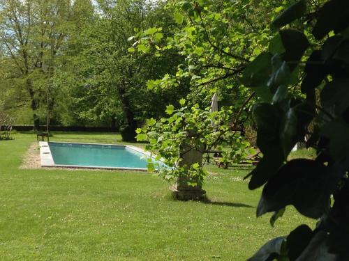 a swimming pool in the middle of a yard at La Rebière d'Or, B&B et Gîte in Mouleydier