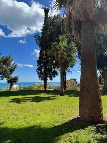 Paisaje cerca de este apartamento