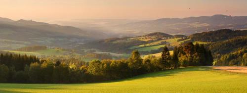 a green hillside with a view of a valley at Ferienwohnung in ruhiger Lage- Panorama Terrasse, 2 SZ, rollstuhlfreundlich in Pöllauberg