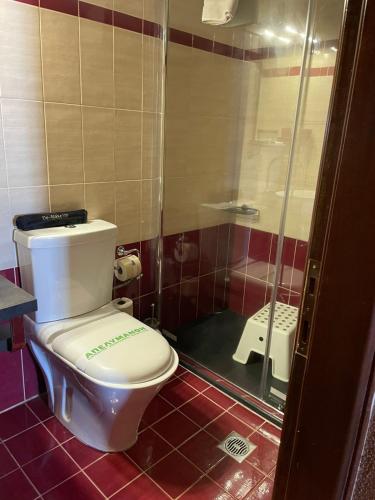 a bathroom with a toilet and a shower at Hotel Maistra in Tsagarada
