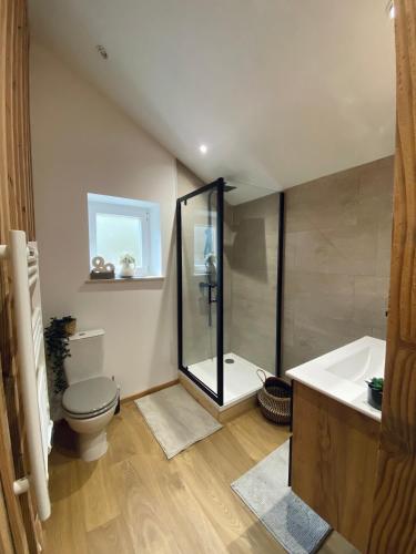 a bathroom with a shower and a toilet and a tub at Gîtes les cocons des guédons Le Douglas in Le Ménil