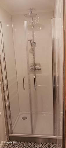 une douche avec une porte vitrée dans une salle de bain dans l'établissement Ternes - Parisian appartment, à Paris